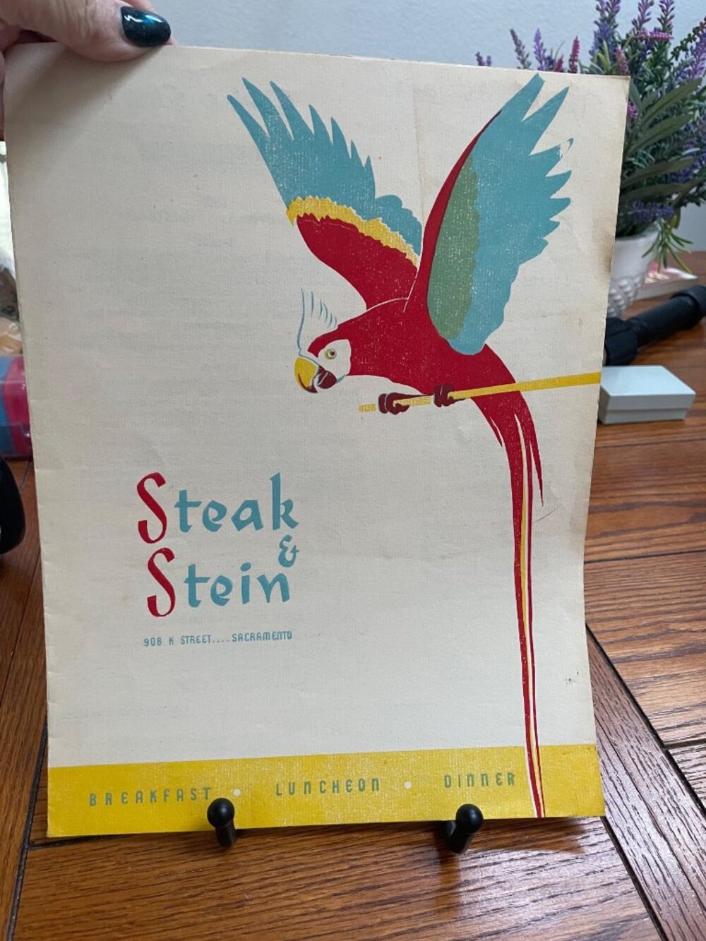 Vintage 1951 Steak & Stein Sacramento Menu Parrot Design Breakfast Luncheon Dinn